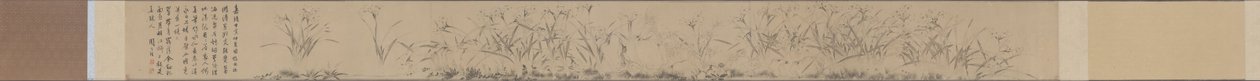 Narcissus-käärö. tekijältä Zhou Tianqiu