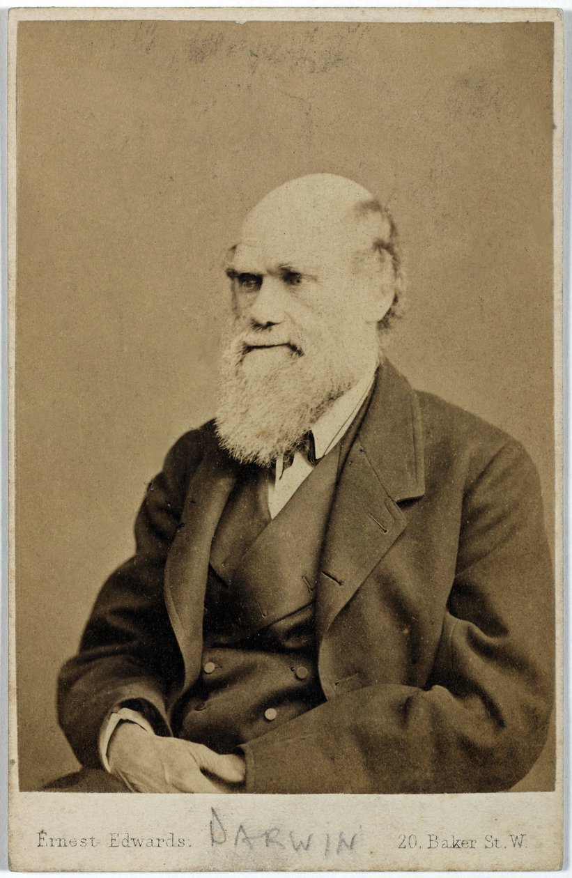 Charles Darwin, englantilainen luonnontieteilijä, n. 1870-luku tekijältä Ferdinand Georg Waldmuller