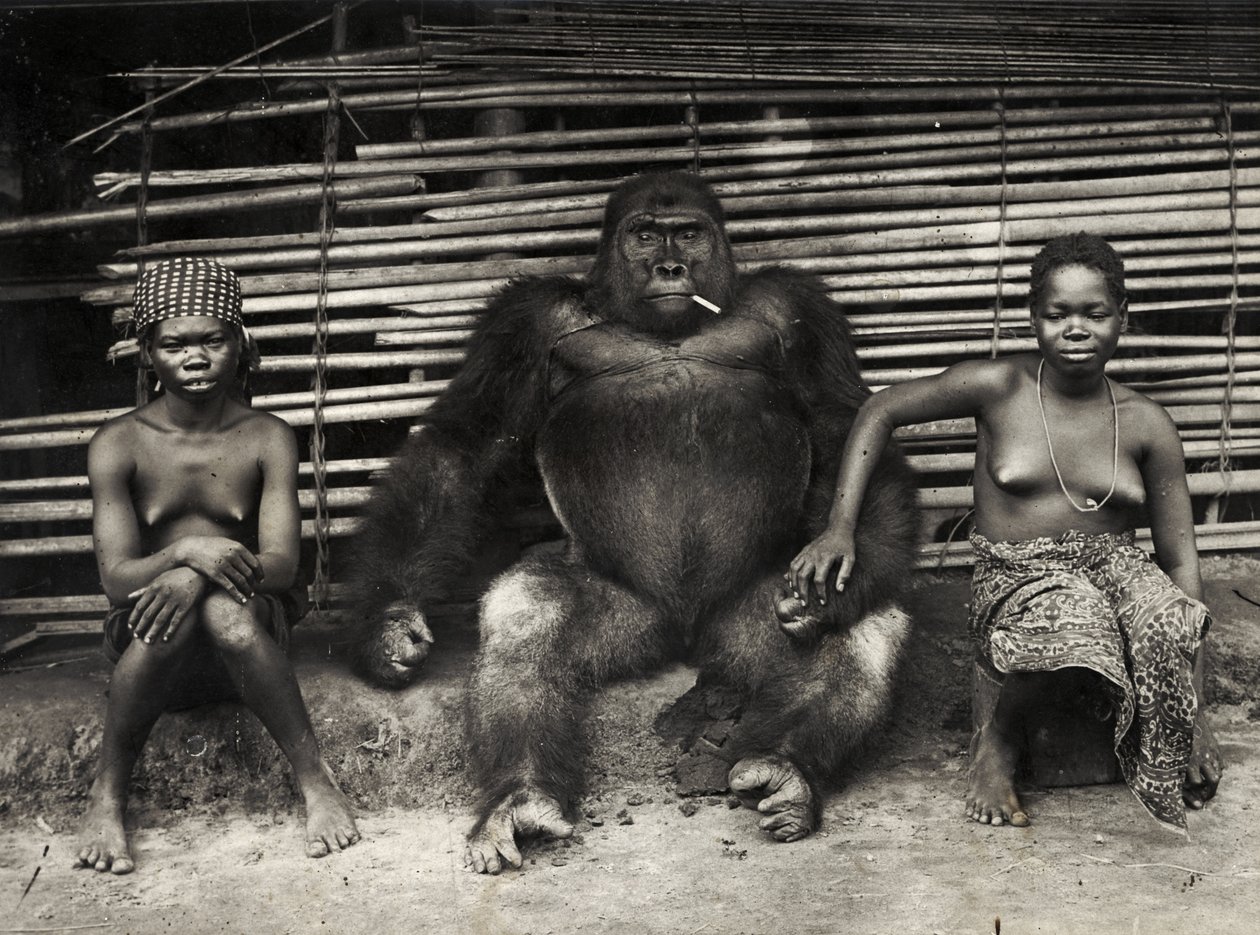 Gorilla (gelatiinihopeaprintti) tekijältä Hippolyte Lalaise Devéria
