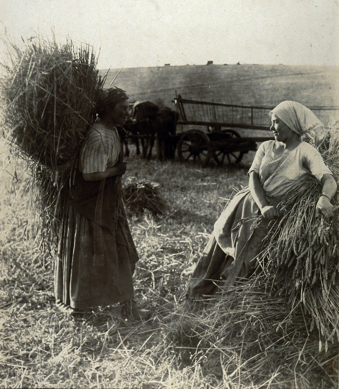 Harvesterit, noin 1900 tekijältä Frederick (attr. to) Barnard