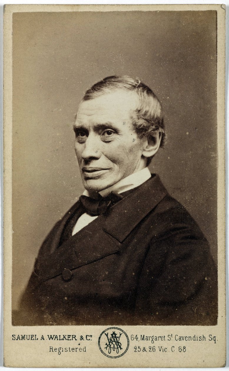 Thomas Graham, skotlantilainen kemisti, n. 1870 tekijältä Frederick (attr. to) Barnard