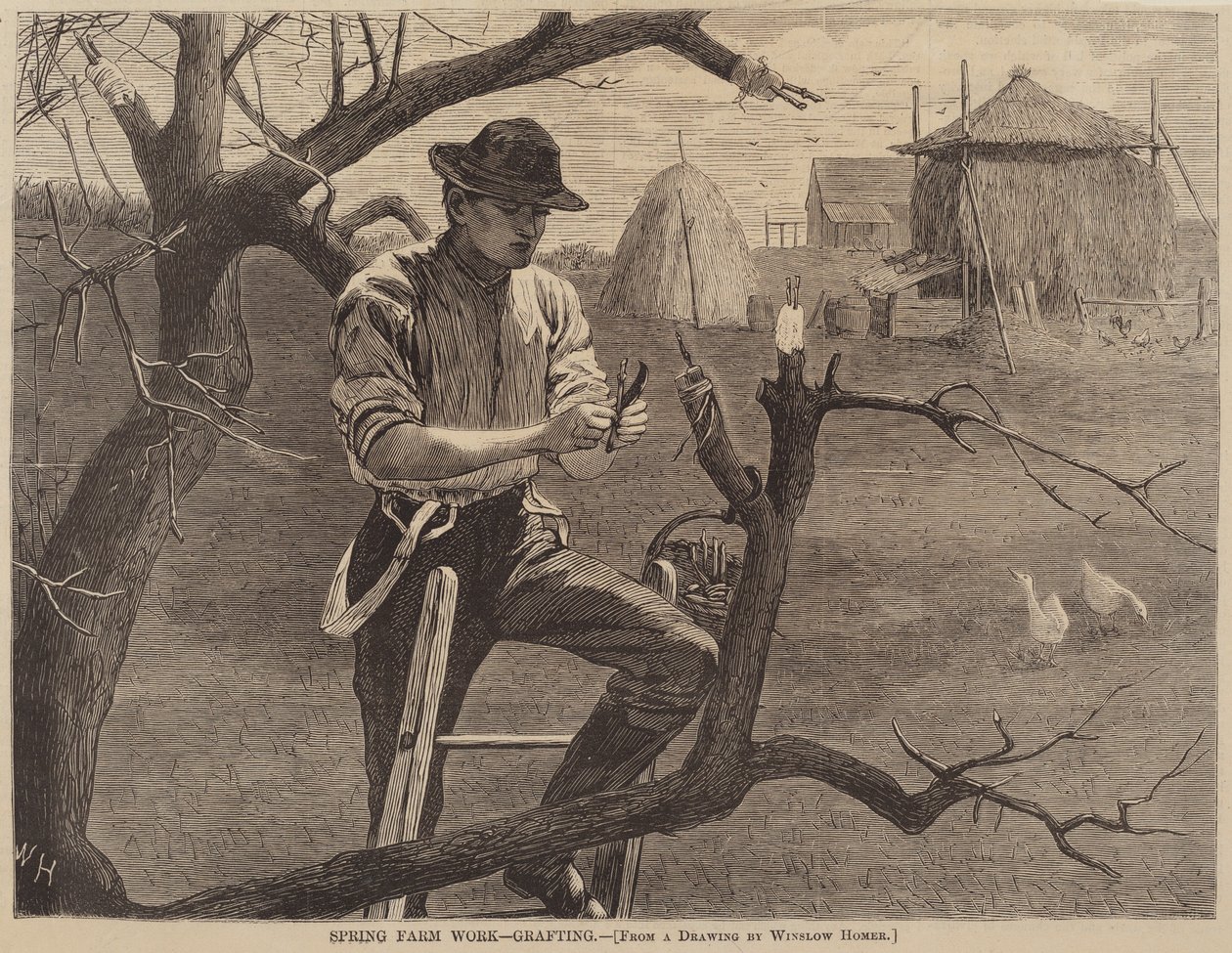 Kevättyöt - Varttaminen tekijältä after Winslow Homer
