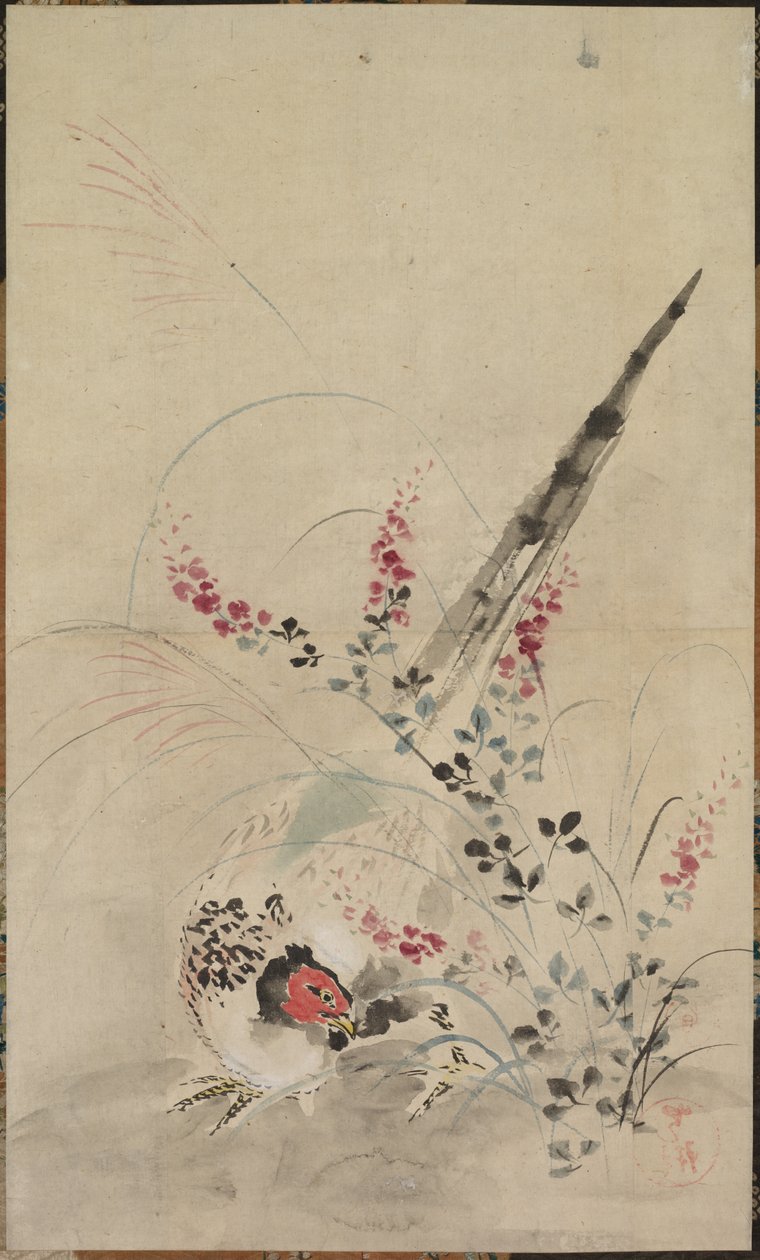 Fasaani ja ruoho tekijältä attributed to Ogata Kōrin