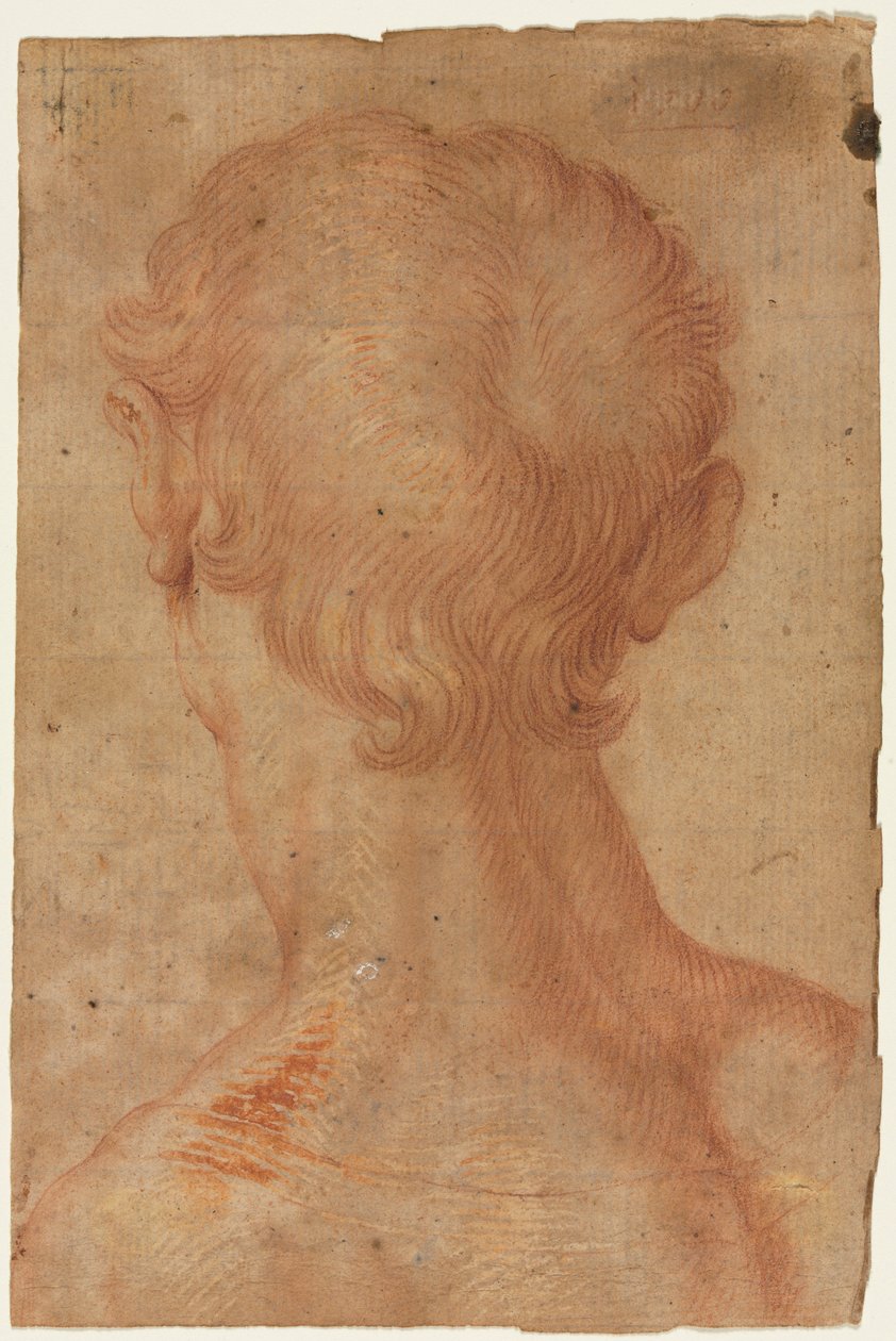 Miehen pää takaa tekijältä copy after Agnolo Bronzino