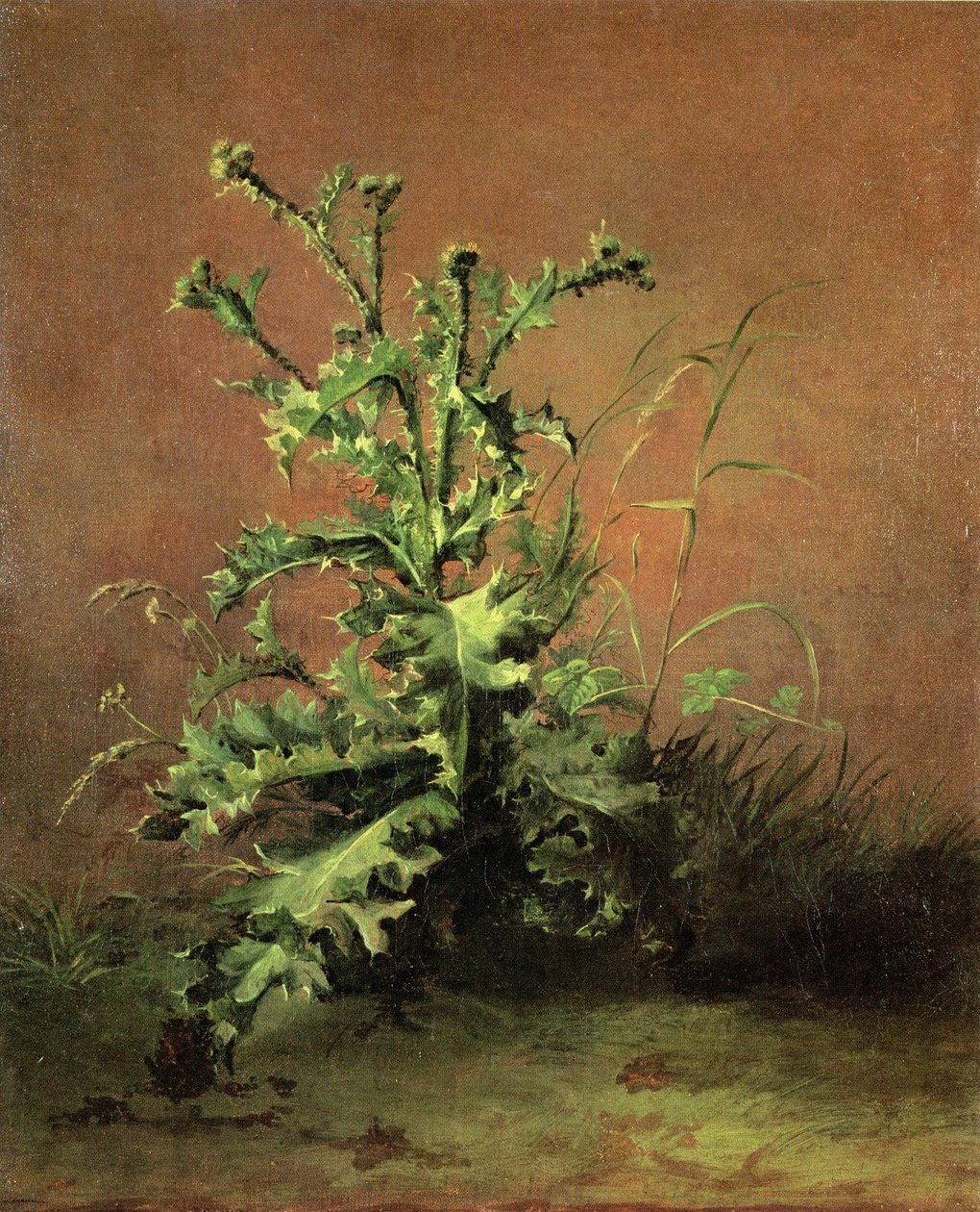 Chardons tekijältä Édouard Manet