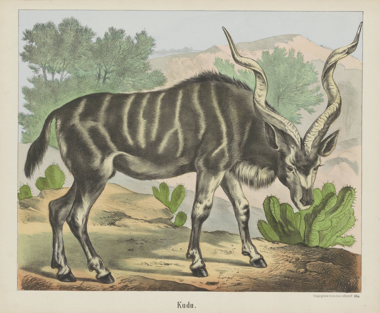 Kudu (otsikko esineessä) tekijältä firma Joseph Scholz