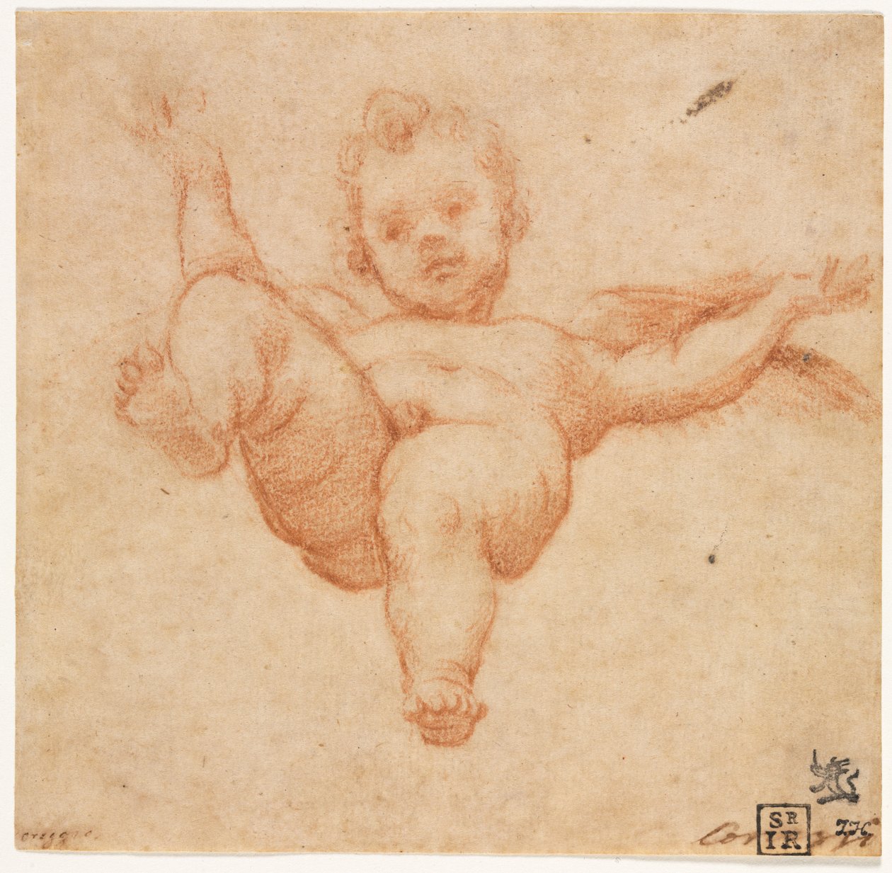 Lentävä Amor tekijältä follower of Annibale Carracci