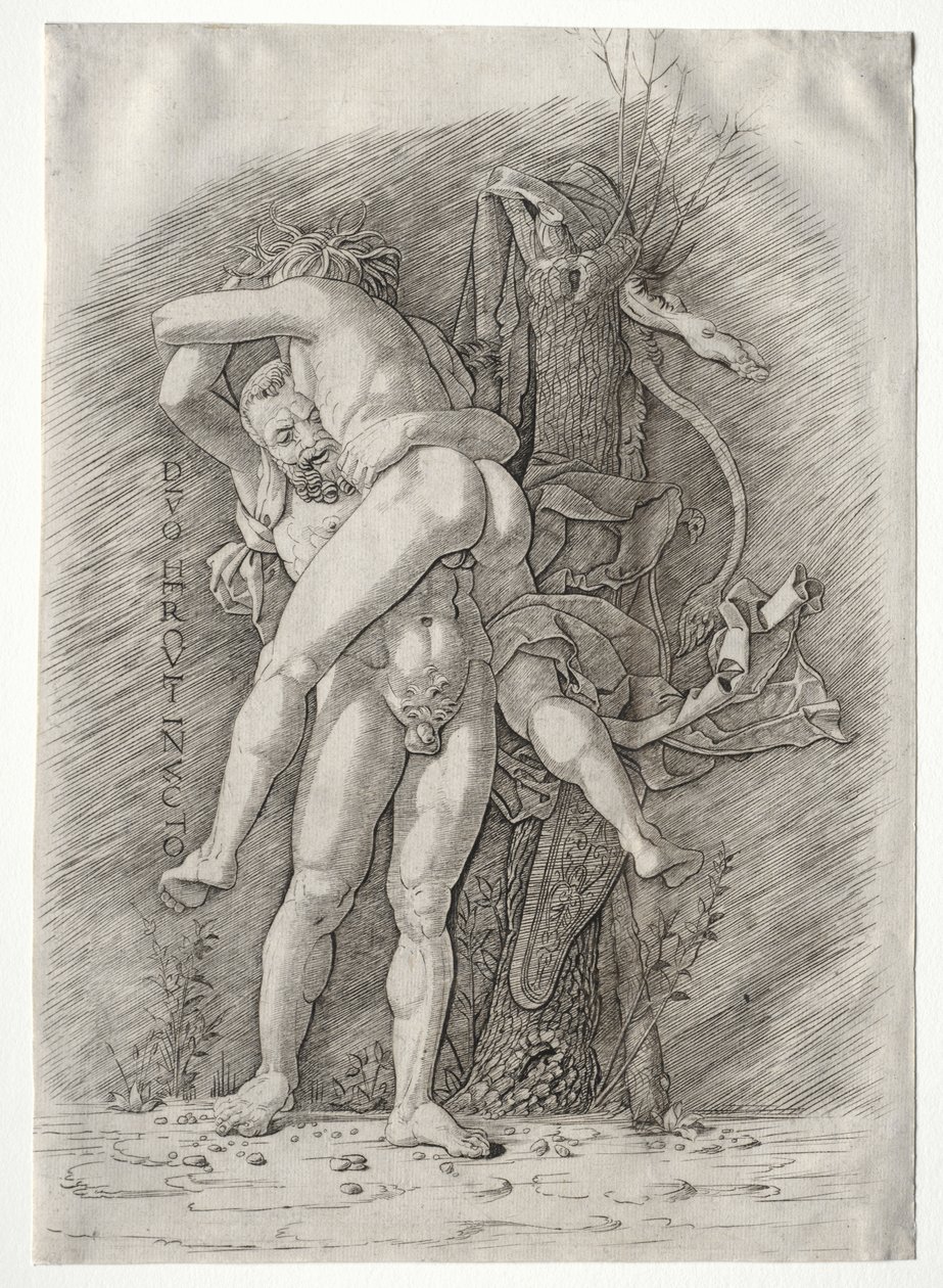 Hercules ja Antaeus tekijältä school of Andrea Mantegna