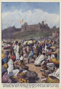 Italian Gondarissa