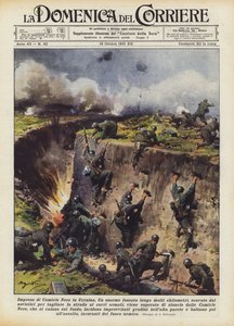 Blackshirt-yritykset Ukrainassa