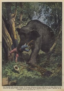 Tragedia Afrikan viidakossa