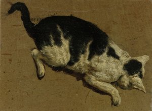 Kissa ylhäältä (sivellinpiirros)