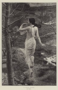 Puu-nymfi