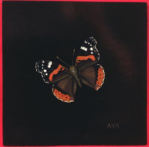 Red Admiral perhonen, 2001