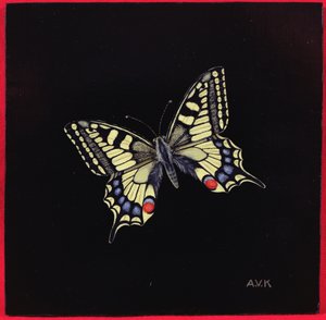 Swallowtail perhonen, 1999