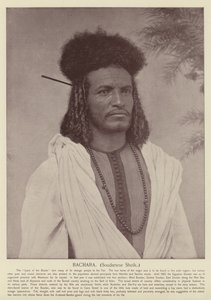 Bachara, soudanilainen sheikki