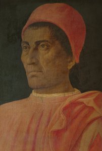 Kardinaali Carlo de Medicin muotokuva