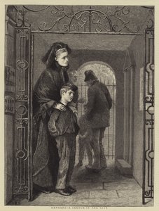 Orvot, luonnos kaupungissa