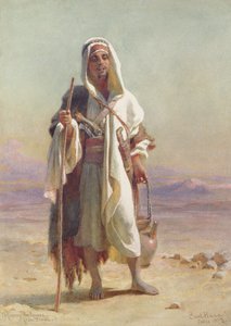 Nuori Bedawee Siinailta, 1873