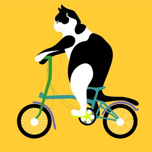 Kissa Brompton-pyörällä
