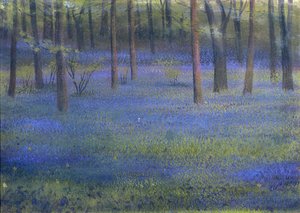 Bluebell Wood (pastelli paperille)