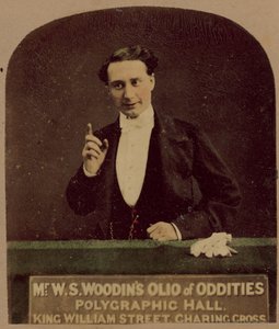 Mr W S Woodins Olio of Oddities