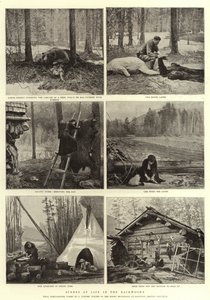 Elämän kohtauksia takametsissä