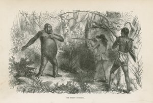 Huonekalut ja erilaiset esineet 1100- ja 1300-luvuilta