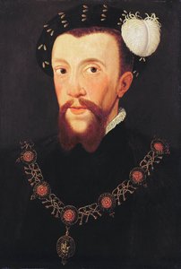 Henry Howardin muotokuva, 1546