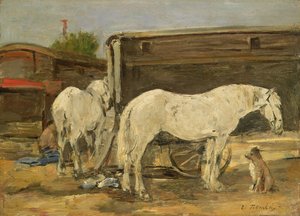 Gypsy Horses, n. 1885-1890