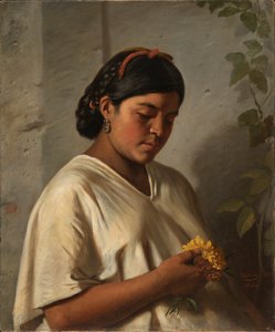 Intialainen nainen kehäkukka kanssa, 1876