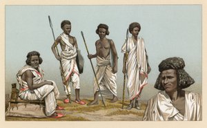 Afrikan puku