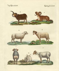 Huonekalut ja erilaiset esineet 1100- ja 1300-luvuilta