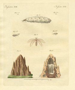 Huonekalut ja erilaiset esineet 1100- ja 1300-luvuilta