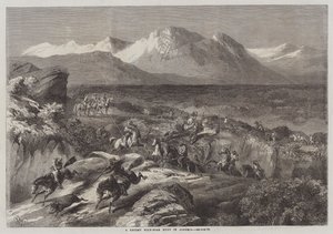 Viimeaikainen villisikajahti Algeriassa