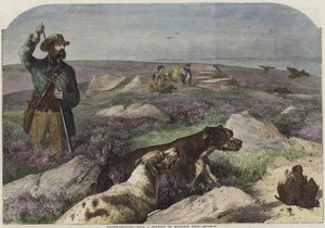 Metsän ammunta