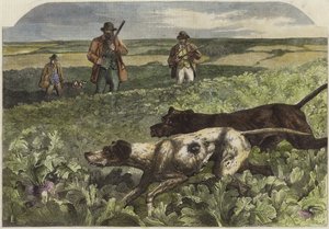 Syyskuun ensimmäinen