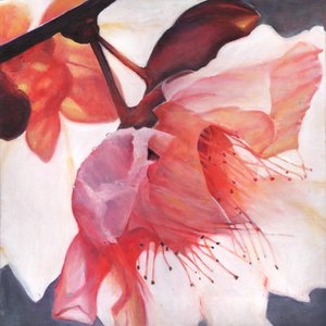 Shakti tanssi, 2016,