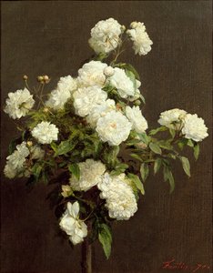 Valkoisia ruusuja, 1870