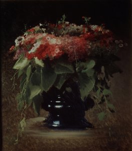 Kukkakimppu. Phloxes, 1884