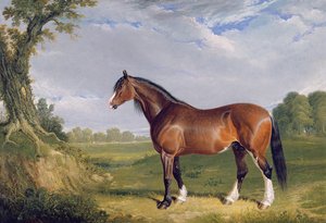 Clydesdalen ori, 1820