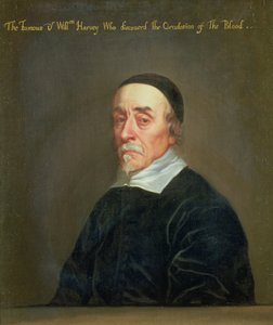 William Harveyn (1578-1657) muotokuva