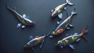 mustemaalaus: Koi-Karpfish_rainbow_02