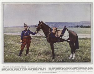 Afrikkalainen metsästäjäprikaatin komentaja