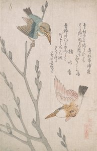 Kingfishers ja pillupaju, 1800-luku.