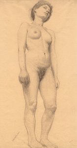 Pysyvä nainen alastonkuva, luultavasti 1878-79.