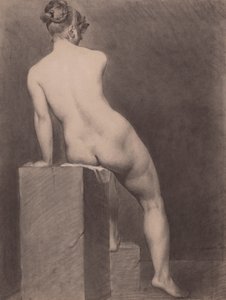 Mademoiselle Rose Nude, Näkymä takaa