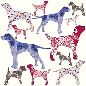 Topdogs, 2005 (digitaalinen)