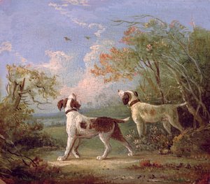 Spanielit maisemassa