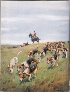 Fox Hunting, kuvitus kirjasta "Hounds"